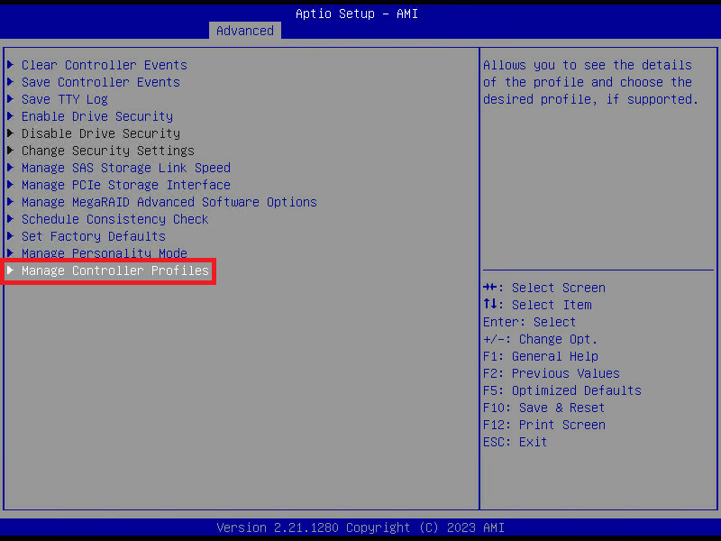 Datei:05-AzSHCI-SMCM2RAID-BIOS-Settings.png