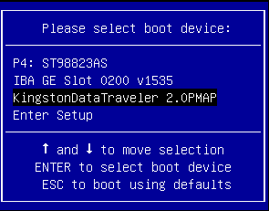 Select the USB flash drive in the boot menu