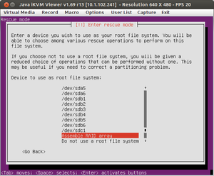 Ubuntu-12.04-UEFI-Boot-04-Enter-rescue-mode-Example-software-raid-1.png