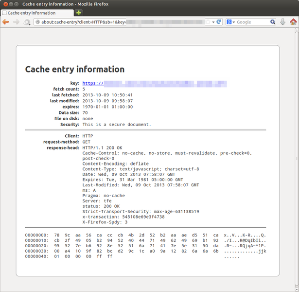Datei:Firefox-cache-anzeigen3.png