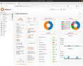 Die Dashboard-Ansicht nach der Konfiguration. Wenn DHCPv6 Server rot angezeigt wird und nicht erforderlich ist, können Sie IPv6 deaktivieren.