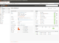 Now the desired WAN IP address appears again in the dashboard.