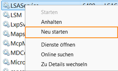 LSA LSI Storage Authority Software – Thomas-Krenn-Wiki
