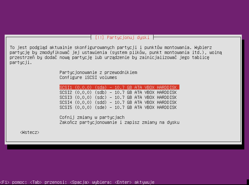 Plik:Ubuntu raid1 002.png
