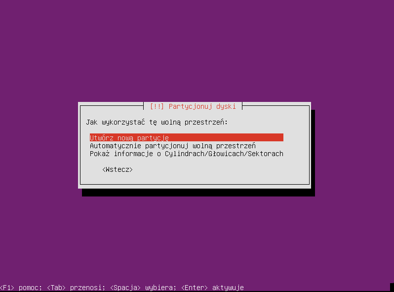 Plik:Ubuntu raid1 005.png