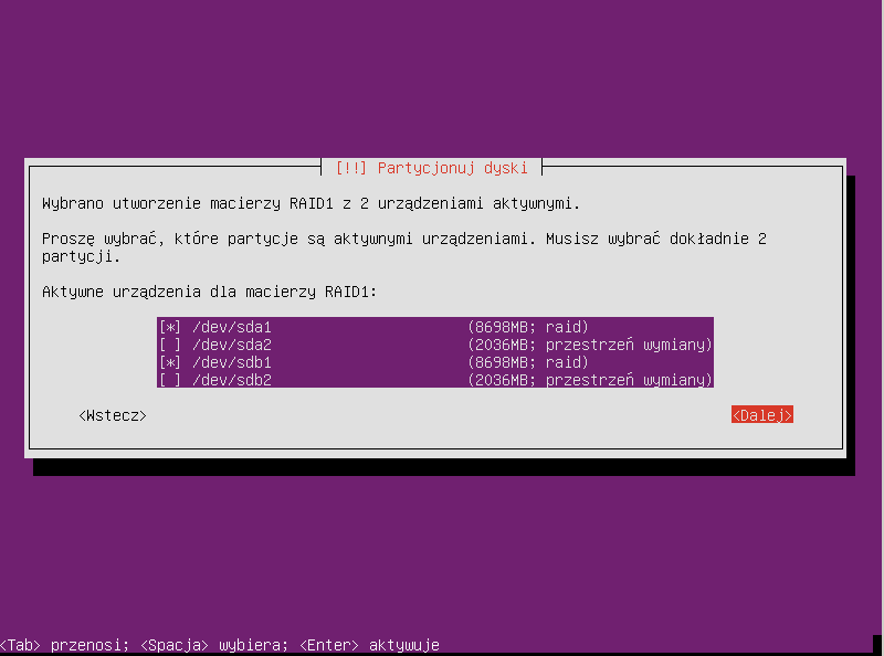 Plik:Ubuntu raid1 017.png