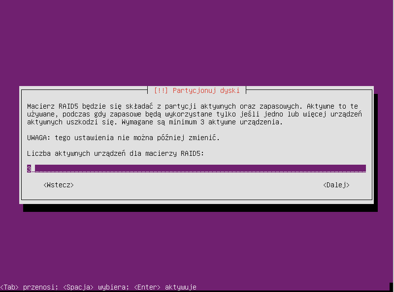 Plik:Ubuntu raid1 029.png