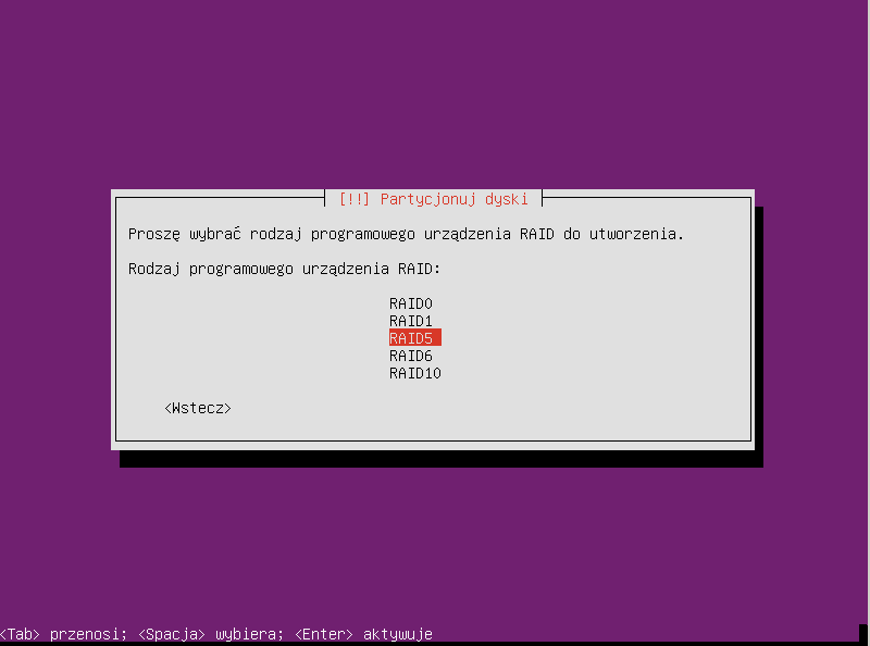 Plik:Ubuntu raid1 028.png