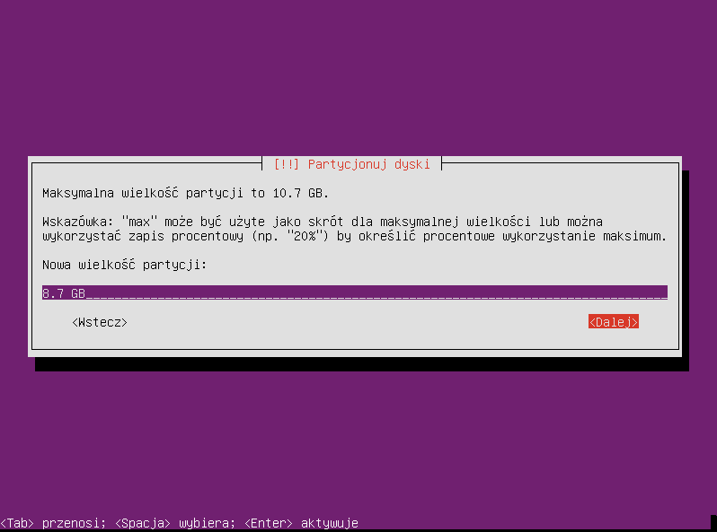 Plik:Ubuntu raid1 006.png