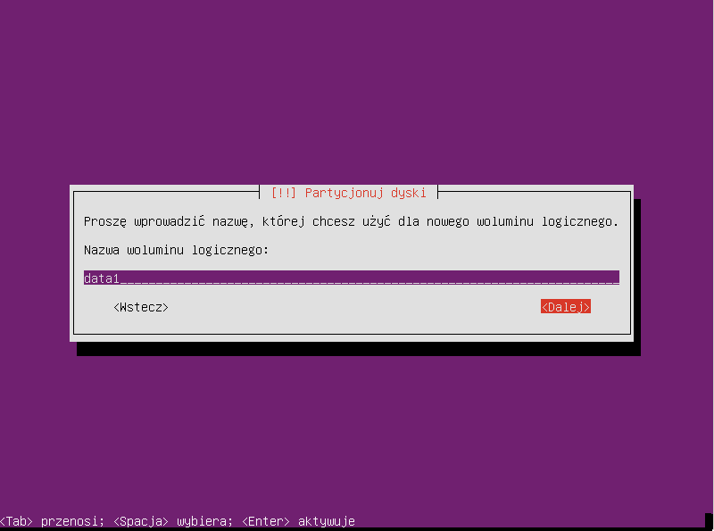 Plik:Ubuntu raid1 037.png