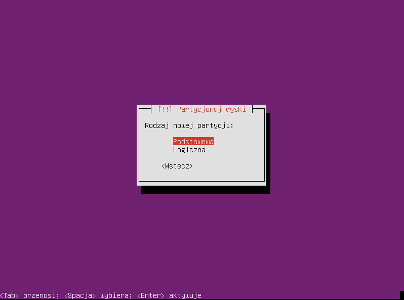 Plik:Ubuntu raid1 007.png