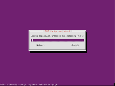 Ubuntu raid1 016.png