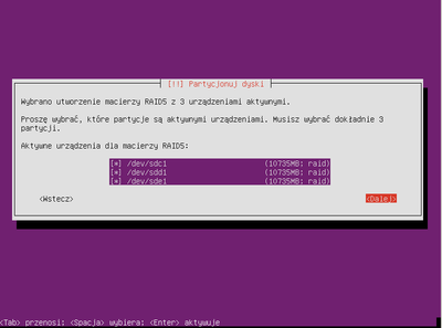Ubuntu raid1 031.png