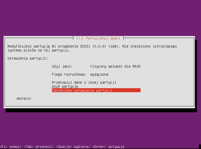 Ubuntu raid1 010.png