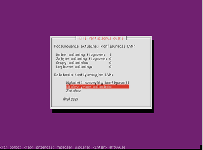Ubuntu raid1 034.png