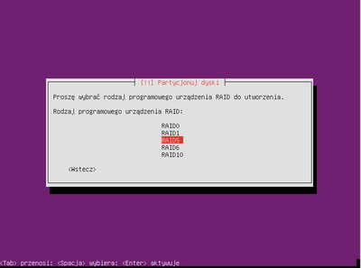 Ubuntu raid1 028.png