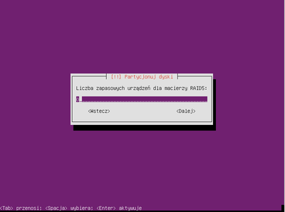 Ubuntu raid1 030.png