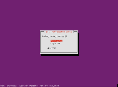 Ubuntu raid1 007.png