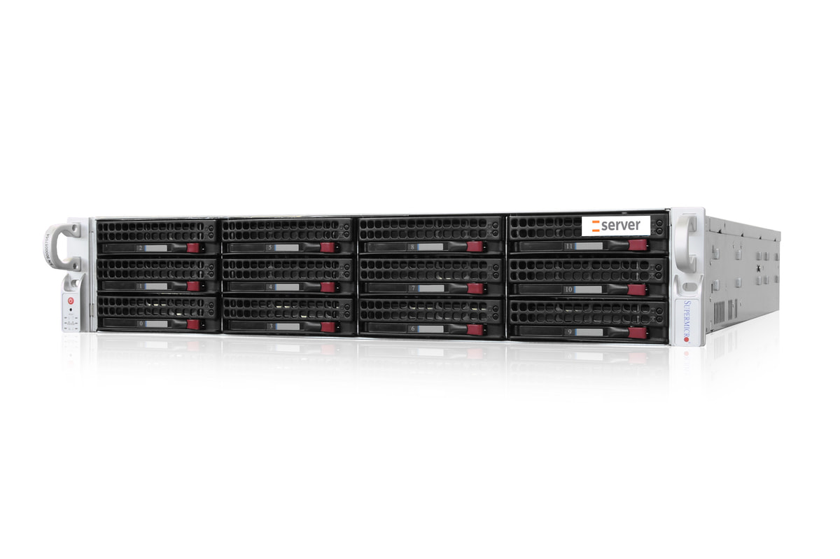 2HE AMD Dual-CPU RA2212 Server - Frontansicht