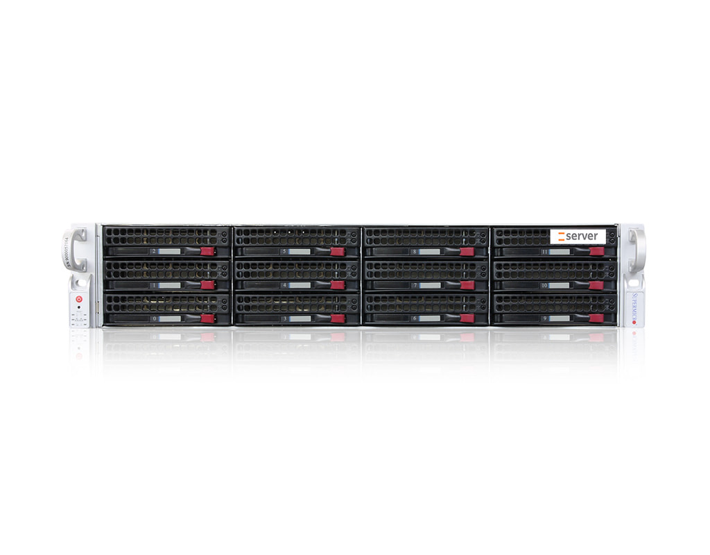 2U Intel single-CPU RI1212-SMXS server - Front view