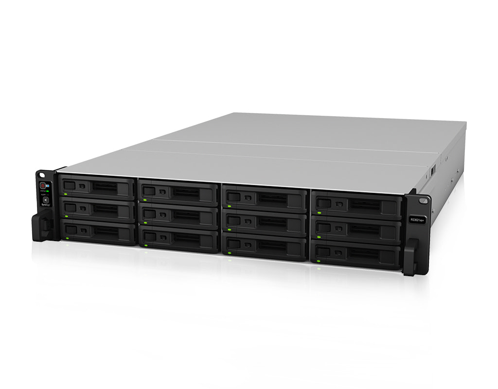 Synology RS3621XS+ NAS - Server view