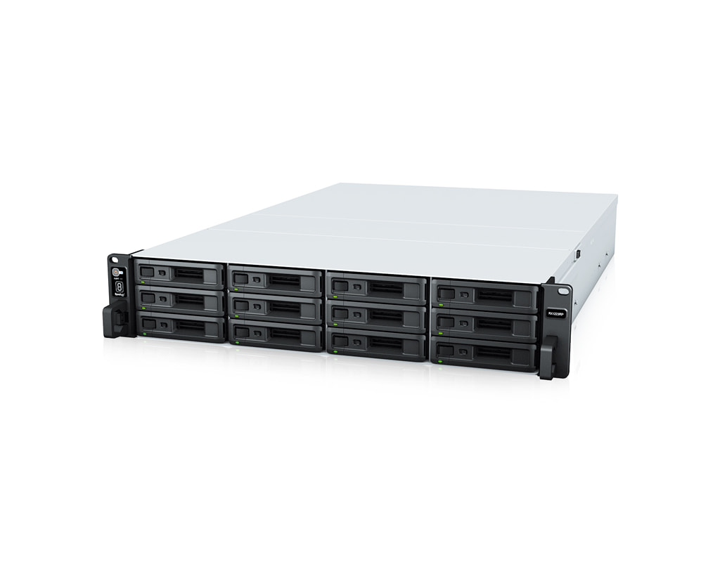 Synology RX1223RP JBOD - Server view