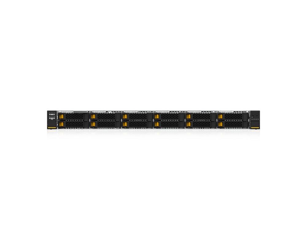 1HE Intel Dual-CPU RI2112-TKXSN Server - Frontalansicht