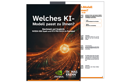Whitepaper: Welches KI-Modell passt zu Ihnen?